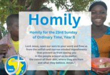 Homily for the 23rd Sunday, Year B