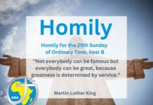 Homily for the 25th Sunday of Ordinary Time, Year B