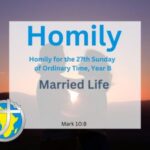 Homily for the 27th Sunday of Ordinary Time 2024