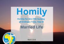 Homily for the 27th Sunday of Ordinary Time 2024