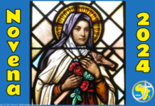 NOVENA in honour of St Threrese – join Ceremonies from Dromantine and Blackrock Road via Webcam
