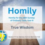 Homily for the 28th Sunday, Year 2024