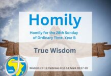Homily for the 28th Sunday, Year 2024
