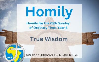 Homily for the 28th Sunday, Year 2024