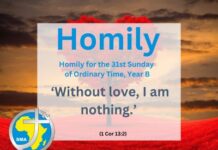 Homily for the 31st Sunday of Ordinary Time, 2024