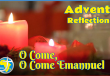 A Reflection for the fourth Week of Advent – Fr Paddy O’Rourke SMA