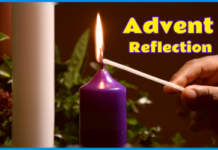 A Reflection for the third Week of Advent – Fr Noel O’Leary SMA