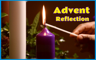 A Reflection for the third Week of Advent – Fr Noel O’Leary SMA