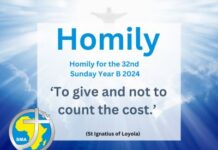Homily for the 32nd Sunday Year B 2024