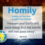 Homily for the 33rd Sunday of Ordinary Time 2024