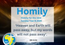 Homily for the 33rd Sunday of Ordinary Time 2024