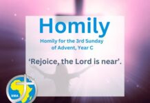Homily for the 3rd Sunday of Advent Year C, 2025