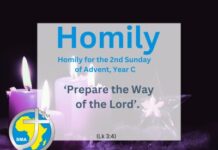 Homily for the 2nd Sunday of Advent, Year C