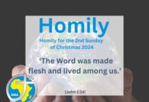 Homily for the 2nd Sunday of Christmas 2024