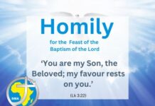 Homily for the Feast of the Baptism of the Lord, 2025