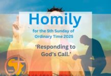 Homily for the 5th Sunday of Ordinary Time 2025