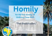 Homily for the 6th Sunday of Ordinary Time, 2025