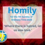 Homily for the 7th Sunday of Ordinary Time 2025