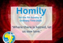 Homily for the 7th Sunday of Ordinary Time 2025
