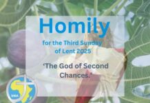 Homily for the 3rd Sunday of Lent, 2025