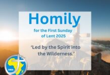 Homily for the First Sunday of Lent 2025