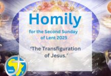 Homily for the Second Sunday of Lent, Year 2025