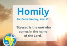 Palm Sunday Homily – Year C, 2025