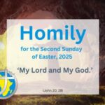 Homily for the Second Sunday of Easter, Year 2025