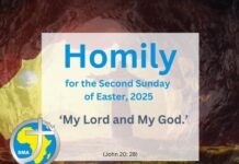 Homily for the Second Sunday of Easter, Year 2025