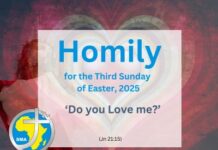 Homily for the Third Sunday of Easter 2025