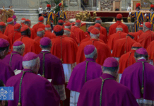 Reflection for the Funeral of Pope Francis – Saturday 26th April 2025 – Fr Kevin O’Gorman SMA