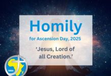 Homily for Ascension Day 2025