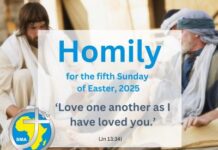 Homily for the 5th Sunday of Easter 2025