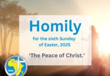 Homily for the 6th Sunday of Easter 2025