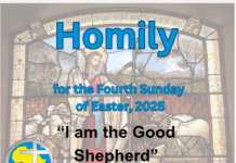 Homily for the 4th Sunday of Easter 2025 – Vocations’ Sunday