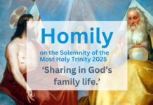 Homily on the Solemnity of the Most Holy Trinity 2025