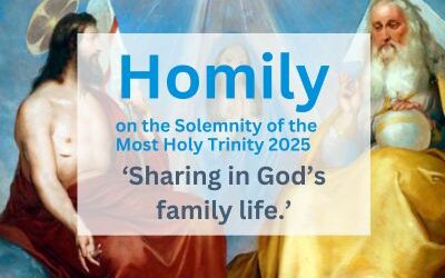 Homily on the Solemnity of the Most Holy Trinity 2025