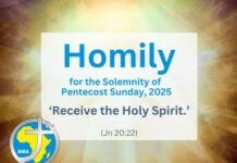 Homily for the Solemnity of Pentecost Sunday, 2025