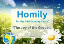 Homily for the 14th Sunday Year C