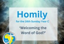 Homily for the 16th Sunday of Year C, 2025
