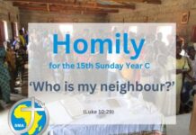 Homily for the 15th Sunday of Ordinary Time 2025