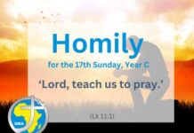 Homily for the 17th Sunday of Year C, 2025