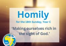 Homily for the 18th Sunday of Year 2025
