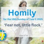 Homily for the 19th Sunday of Year C 2025