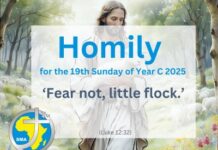 Homily for the 19th Sunday of Year C 2025