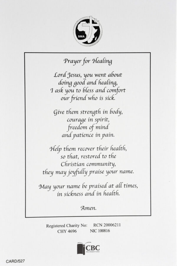 A Get Well Prayer Lilac - Image 3