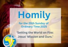 Homily for the 20th Sunday of Ordinary Time 2025