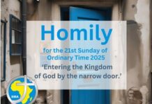 Homily for the 21st Sunday of Year 2025
