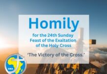 Homily for Sunday 14th September 2025