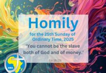 Homily for the 25th Sunday of Ordinary Time, 2025